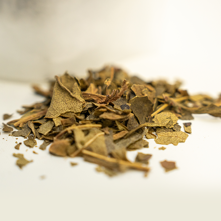 心ととのう柿の葉茶 和歌山県産 2パック(1g×15袋) 干味専門 一福